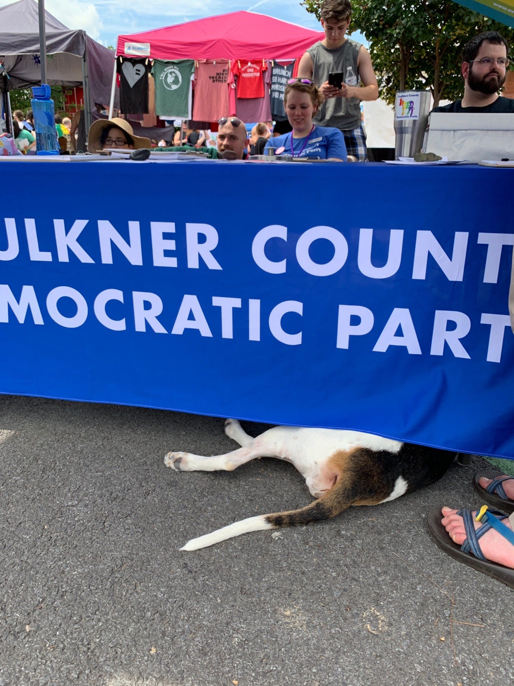 Conway Pride 2019 Faulkner County Democratic Party